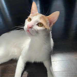 Meet your Posher, Kaelyn